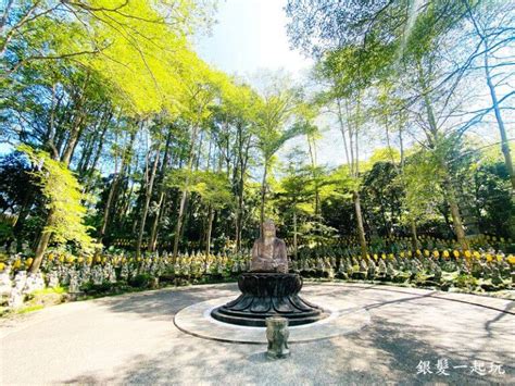 仙佛寺|南投國姓｜禪機山仙佛寺：秒飛京都，濃濃日式禪意！ 